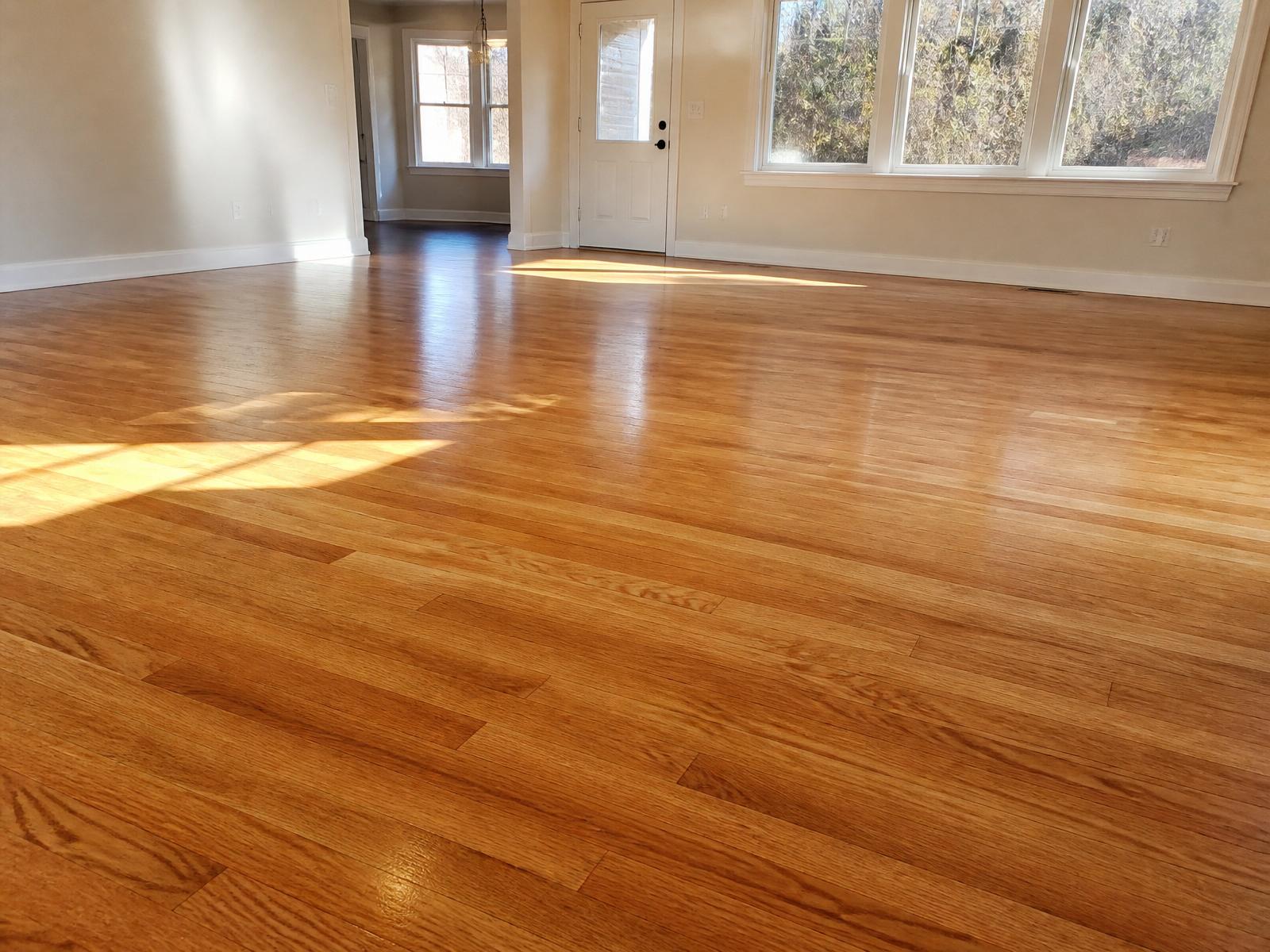 Freshly sanded and refinished hardwood floor in a sunlit room